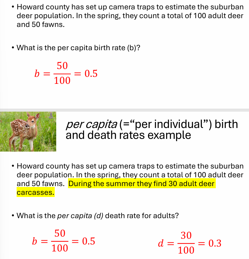 <p>per capita - “per individual” birth &amp; death rates</p><ul><li><p>(b) → avg. # of offspring produced by <strong>single</strong> individual</p><ul><li><p>b = # births / ind. in past year </p></li></ul></li><li><p>(d) → probability of dying </p><ul><li><p>d = # deaths / ind. in past year</p></li></ul></li></ul><p></p>