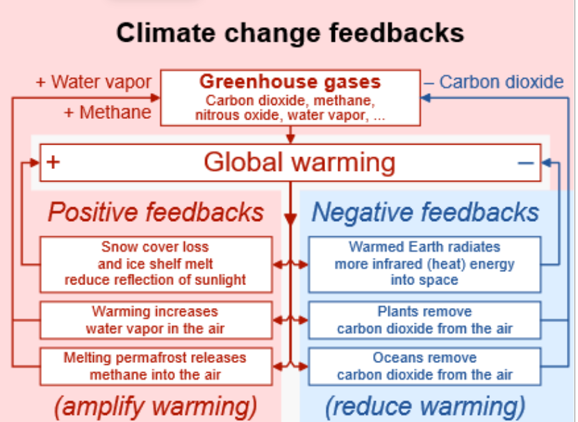 <ul><li><p>Reduces an effect.</p></li><li><p>Examples:</p><ul><li><p>Increased albedo</p></li><li><p>More plants removing CO₂</p></li><li><p>Oceans removing CO₂ from the atmosphere</p></li></ul></li></ul><p></p>