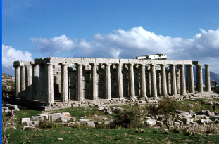 term image