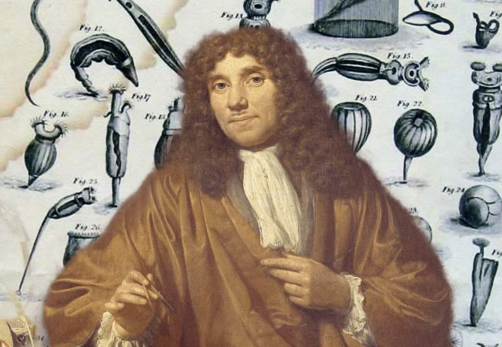 <p>Anton Van Leeuwenhoek, mid 1600s.</p>