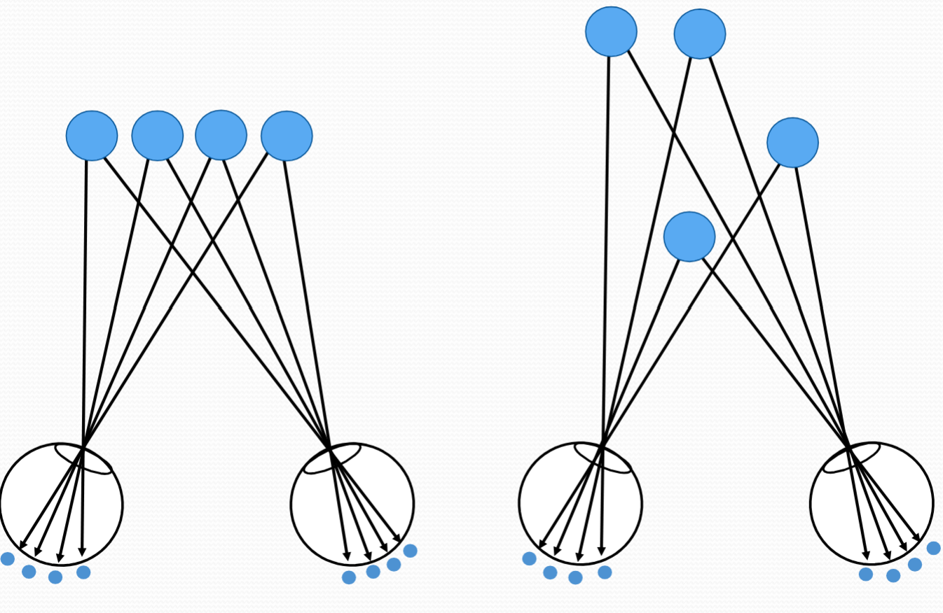 <p>If there are multiple identical objects in the scene it can be hard to figure out which images in the left retinal image should be associated with which images in the right retinal image</p><p>BASICALLY how do you tell depth when these two scenes make the same image on the retina?</p><p>THE RETINAL IMAGES ARE IMBIGUOUS unless the objects are coloured</p>