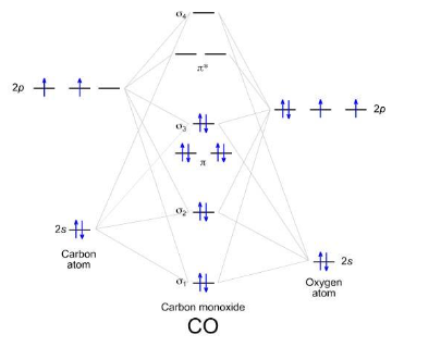 <p><span style="background-color: transparent;">The more electronegative the atom, the lower in energy its orbitals will be.</span></p>
