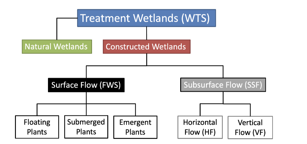 <p>FWS, HSSF, FV and pros and cons</p>