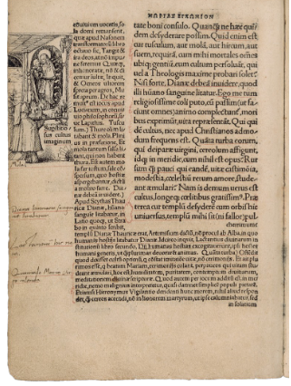 term image