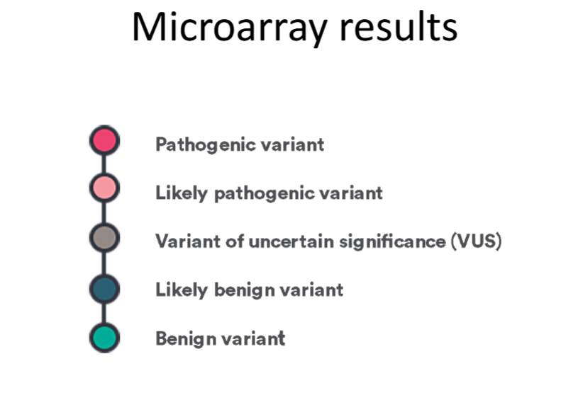 <p>*****Of the 5 Microarray results, Which are REPORTED for <strong><em><u>prenatal vs. pediatrics + adult tests?</u></em></strong></p><ul><li><p><strong><em><u>WHY</u></em></strong>?</p></li></ul><p></p>