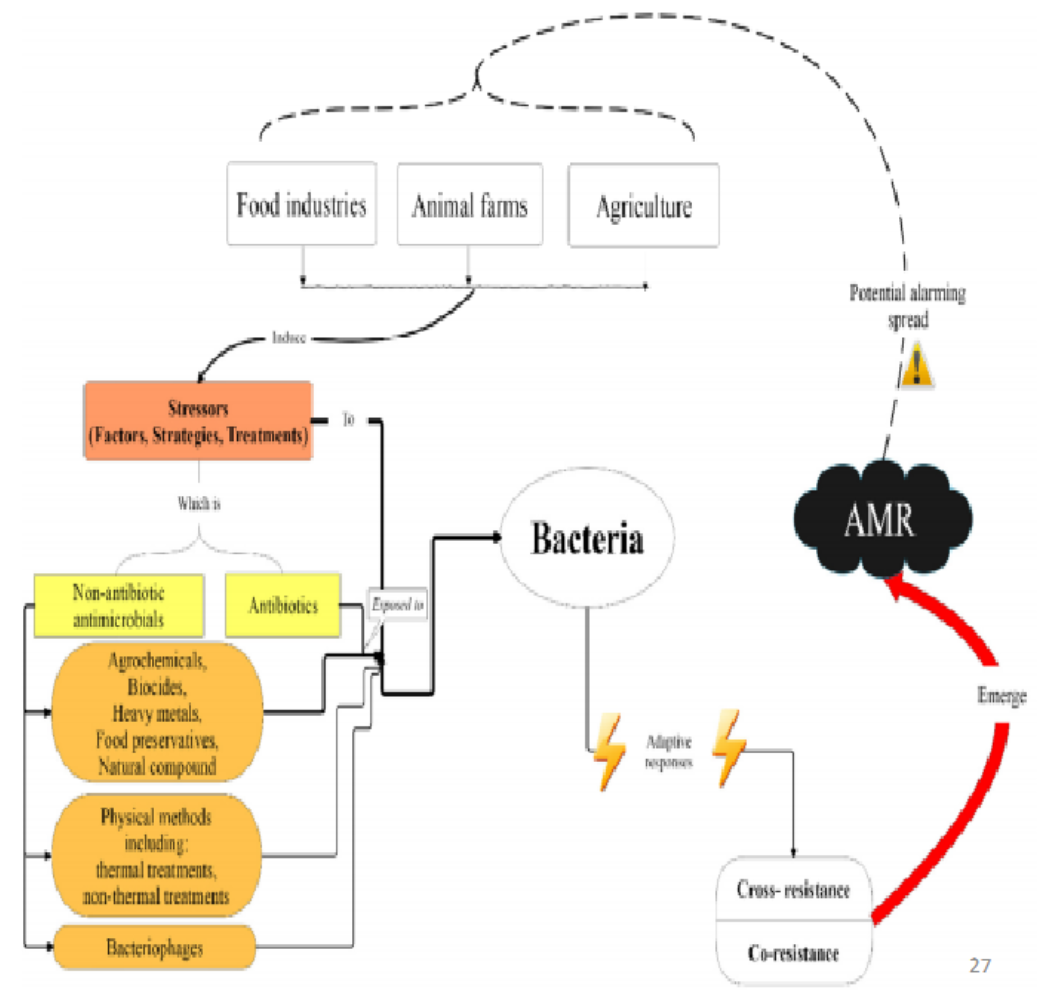 <p>farm-fork continuum </p><p></p>