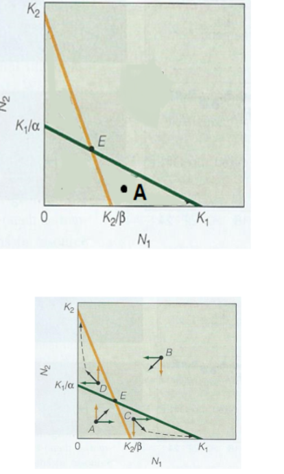 <p><span style="background-color: transparent;">Which outcome of competition is most likely starting with a combination of numbers of species 1 and 2 at point A.</span></p>