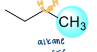 <p>carbon bonded to one carbon atom</p>