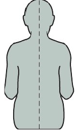 <ul><li><p>Torso in line with long axis of body</p></li></ul><p><span style="color: rgb(255, 0, 0);"><strong>Avoid</strong></span>: Leaning torso to one side or twisting torso</p><p></p>