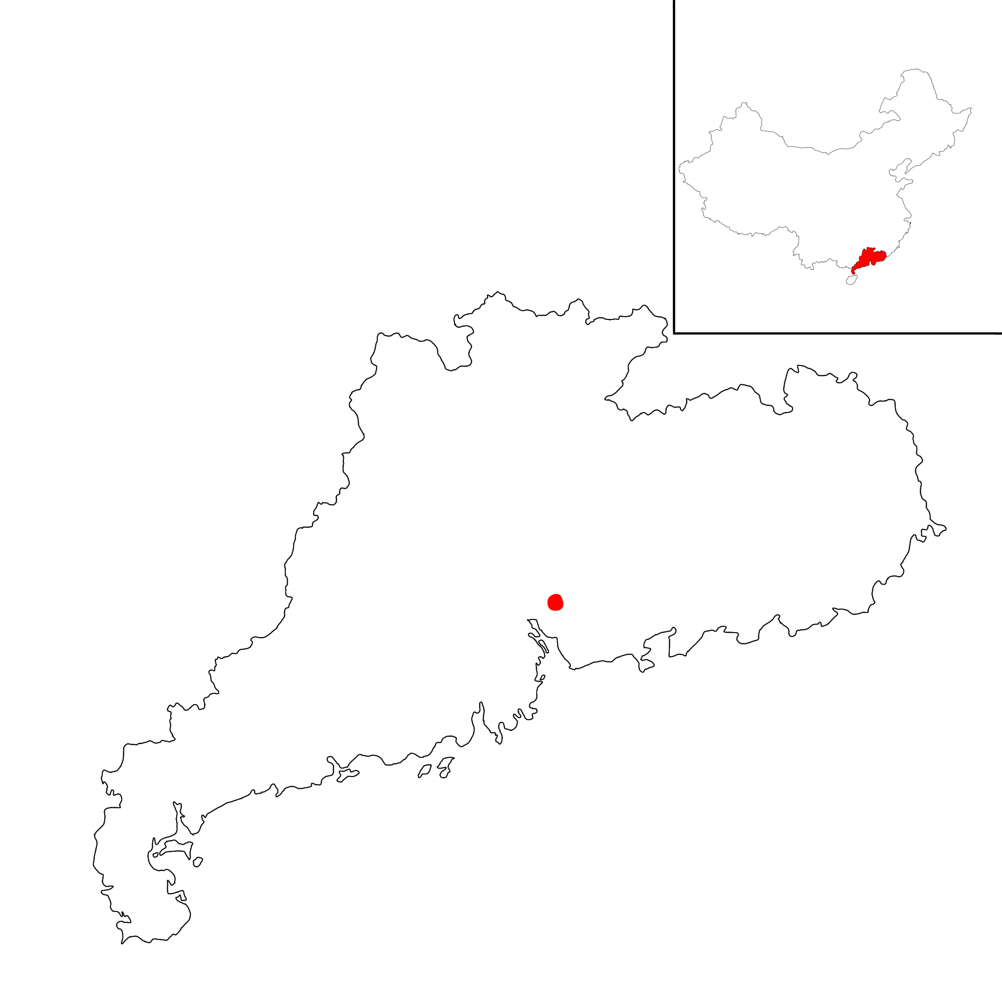 term image