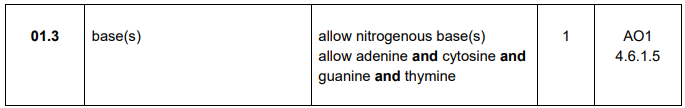 <p>Bases</p>