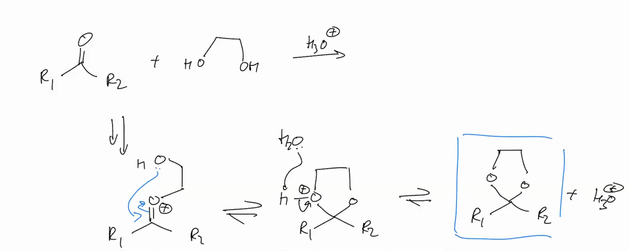 <p>Formation of cyclic acetals is very favorable. Why the second step becomes intramolecular (cuz intra is hella faster)!</p>