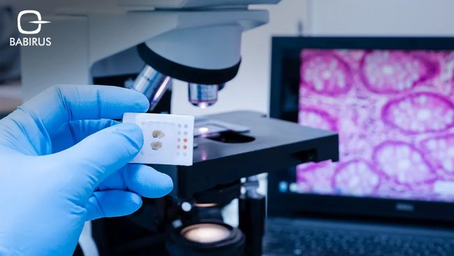 <p>Cytology</p>