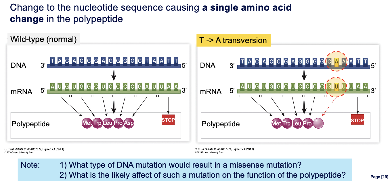 <p>don’t know without further details</p>