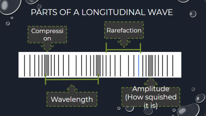 <p>Compression, wavelength, rarefaction, Amplitude (how squished it is)</p>