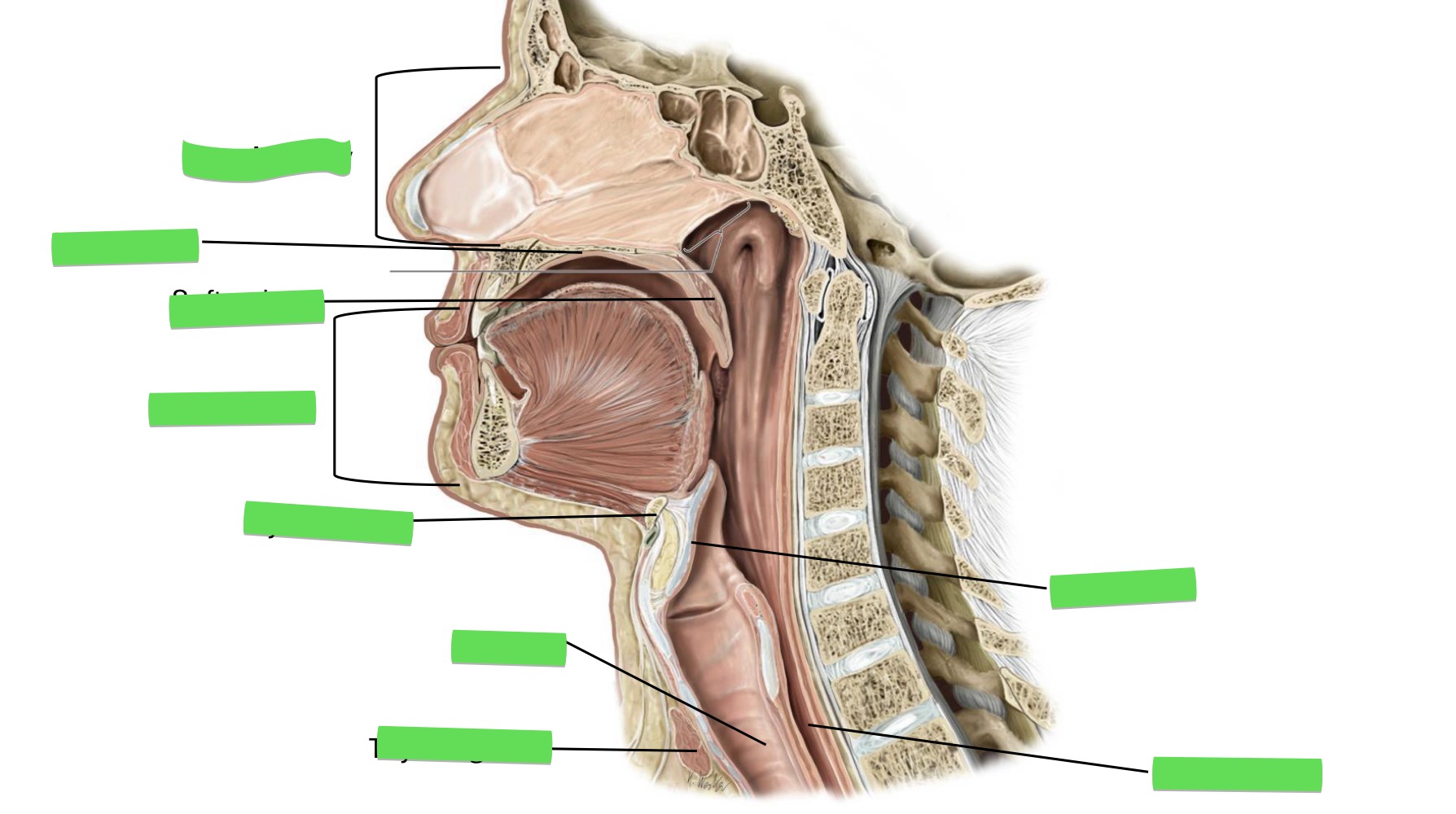 <p>Fill in the blank</p>