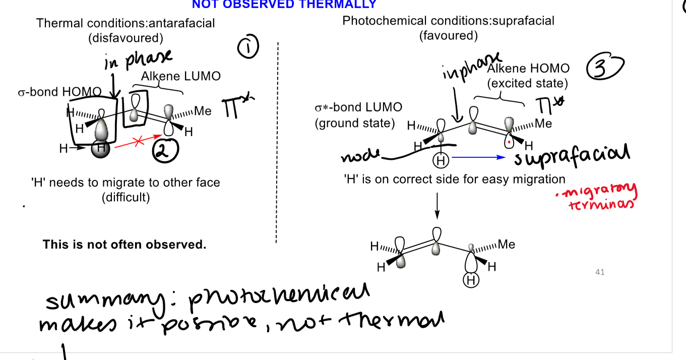 <p>at thermal the lumo is π* the pi orbital next to sp3 must be in phase with sp3 orbitals.</p><p>at the thermal, we have antarafacial,</p><p>but photochemical promotes electron to π*, hence why its in phase and can join</p>