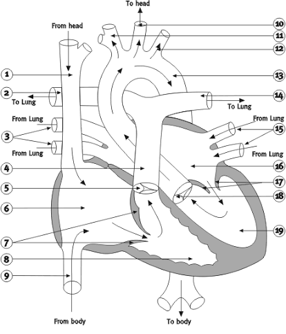 <p>1</p>