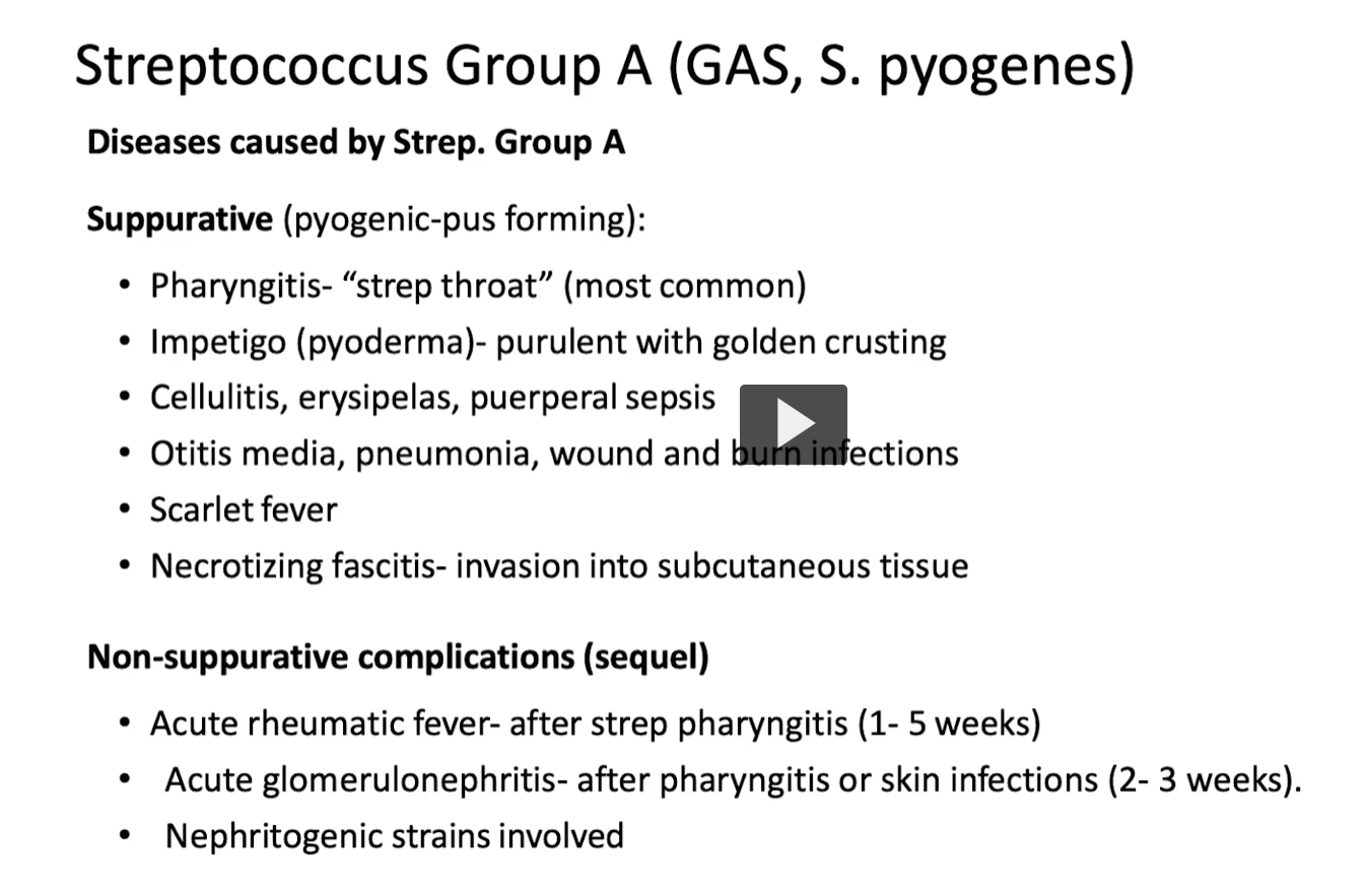 <p>Group A Strep causes <strong>2 categories of disease</strong>:</p><p><span data-name="fire" data-type="emoji">🔥</span> 1. <strong>Suppurative (pus-forming, ACTIVE infection)</strong></p><p><span data-name="point_right" data-type="emoji">👉</span> Bacteria are <strong>present and invading tissue</strong></p><p><span data-name="warning" data-type="emoji">⚠</span> 2. <strong>Non-suppurative (post-infectious, IMMUNE-mediated)</strong></p><p><span data-name="point_right" data-type="emoji">👉</span> Bacteria are <strong>gone</strong>, but immune system causes damage</p>