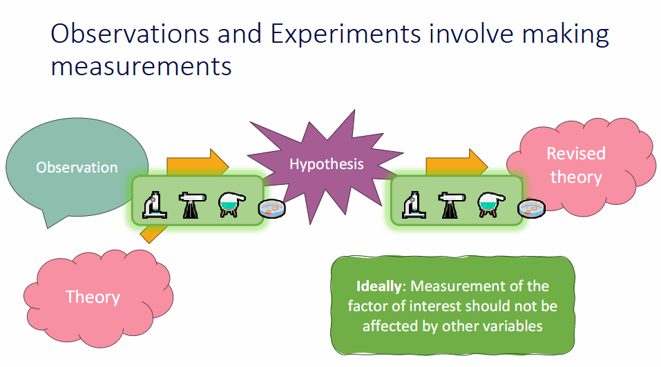 <p>Why does measurement quality affect both hypothesis generation and hypothesis testing?</p>