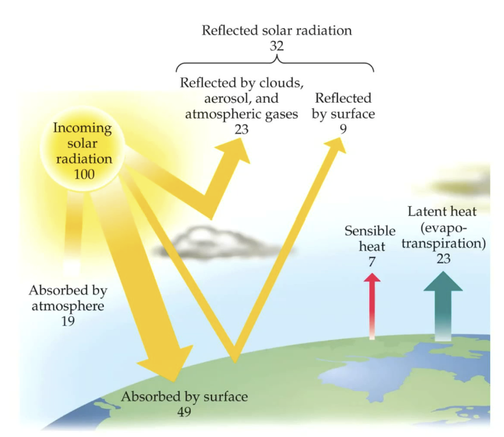 <p>Energy on Earth is in …</p>