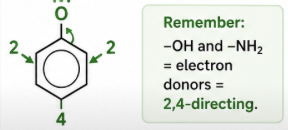 <ul><li><p>They <strong>donate electron density</strong> into the benzene ring through their lone pair.</p></li><li><p>This makes the ring <strong>more electron-rich</strong> and <strong>more reactive</strong>.</p></li><li><p>They direct new substituents to the <strong>2 (ortho)</strong> and <strong>4 (para)</strong> positions.</p></li></ul><p></p>
