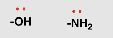 <p>OH, NH2</p>