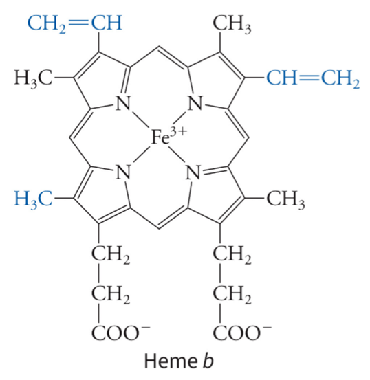 <p>what is the heme group of a b cytochrome</p>