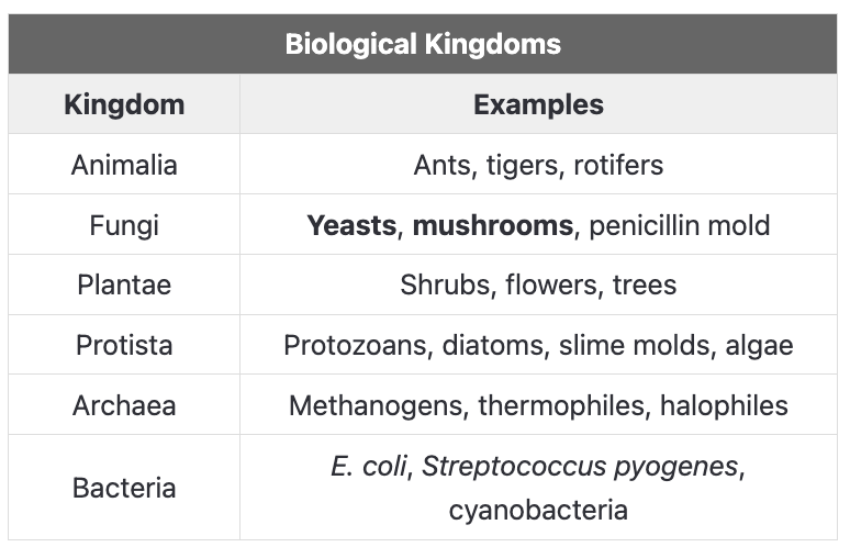 <ul><li><p>Yeasts and mushrooms belong to the kingdom Fungi. </p></li></ul><p></p><p><em>A.&nbsp;Blue-green algae</em></p><p>Blue-green algae, also called <span style="line-height: 1.6em; font-size: inherit;">cyanobacteria</span>, are a group of photosynthetic bacteria that live in water. They can grow quickly, forming large blooms that release toxins into the water.</p><p></p><p><em>B.&nbsp;Dinoflagellates</em></p><p>Dinoflagellates are single-celled protists that live in aquatic environments.</p><p></p><p><em>C. Amoebas</em></p><p>Amoebas are single-celled protists that move and feed using flexible extensions called pseudopodia.</p><p></p><p><em>E. Slime molds<br></em>Slime molds are protists that live in moist environments and can move like amoebas</p>