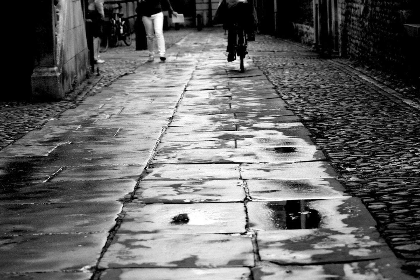 <p>slightly wet, often in a way that is unpleasant</p>