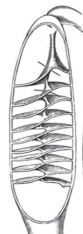 <p>What is this?</p>