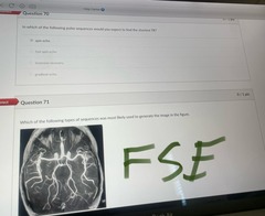 <p>FSE</p>