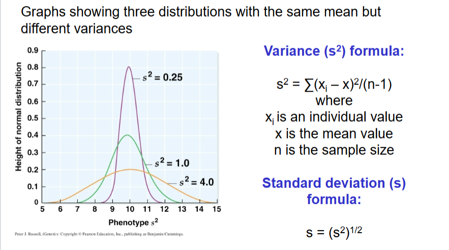 <p>distribution of measured values in relation to the mean</p><p></p>