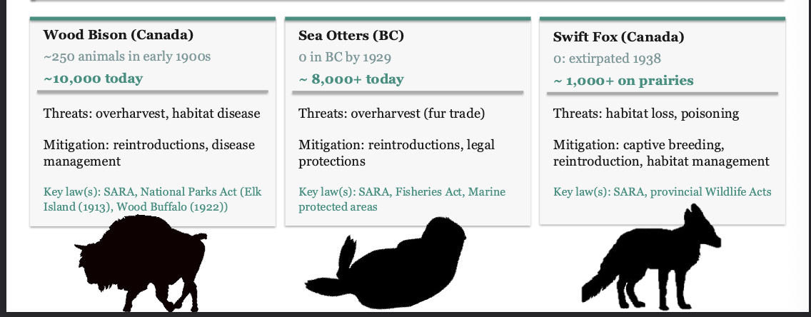<p>Conservation looks different across systems, but recovering always depends on IDENTIFYING, REGULATING and MANAGING the drivers of decline. It is work that is often triggered and sustained by laws</p>