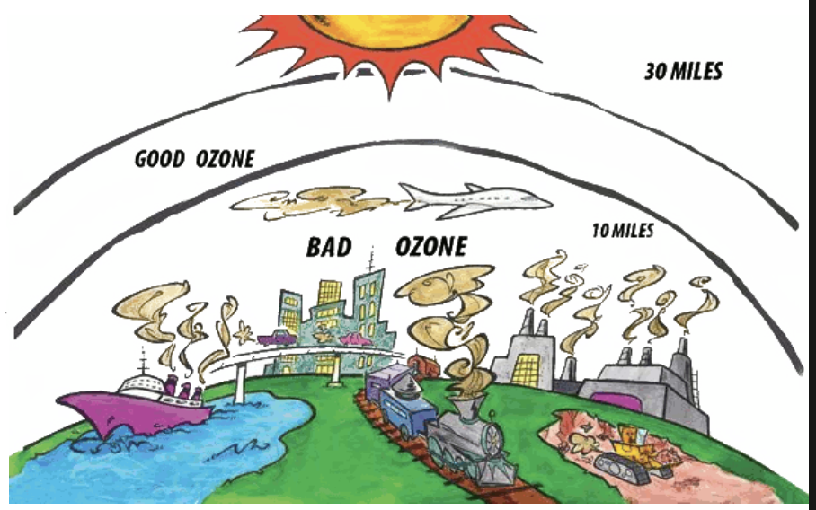 <ul><li><p>ozone in the <strong>stratosphere</strong> protects life on earth from the sun’s harmful uv rays</p><ul><li><p>use of CFCs has greatly depleted the ozone layer, leaving holes in polar regions</p></li></ul></li><li><p>ozone in the troposphere (ground level), harmful to breathe in and it also damages vegetation </p></li></ul><p></p>