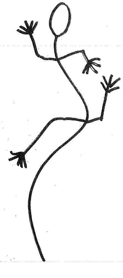 <p>Crawling Locomotion in the Caudata</p>