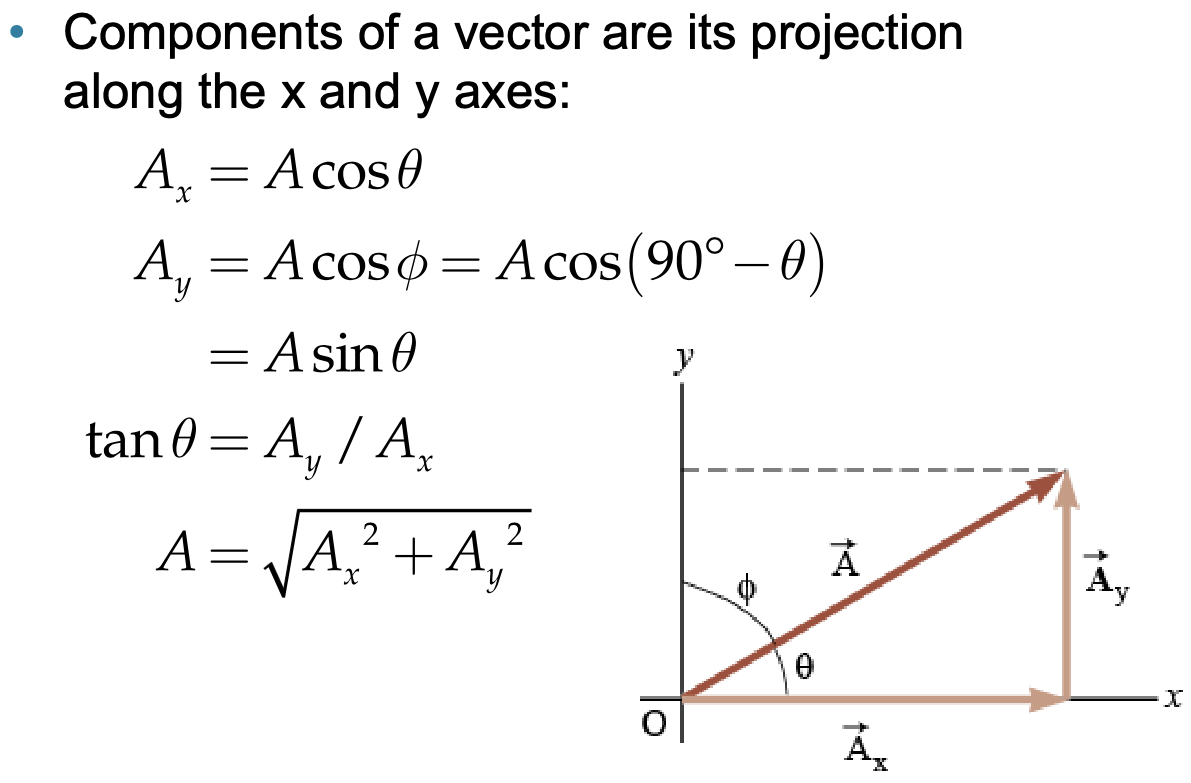 <p>The projections of a vector along the axes of a coordinate system, usually represented as horizontal and vertical components. These components allow for the analysis of the vector's behavior in two-dimensional space</p>