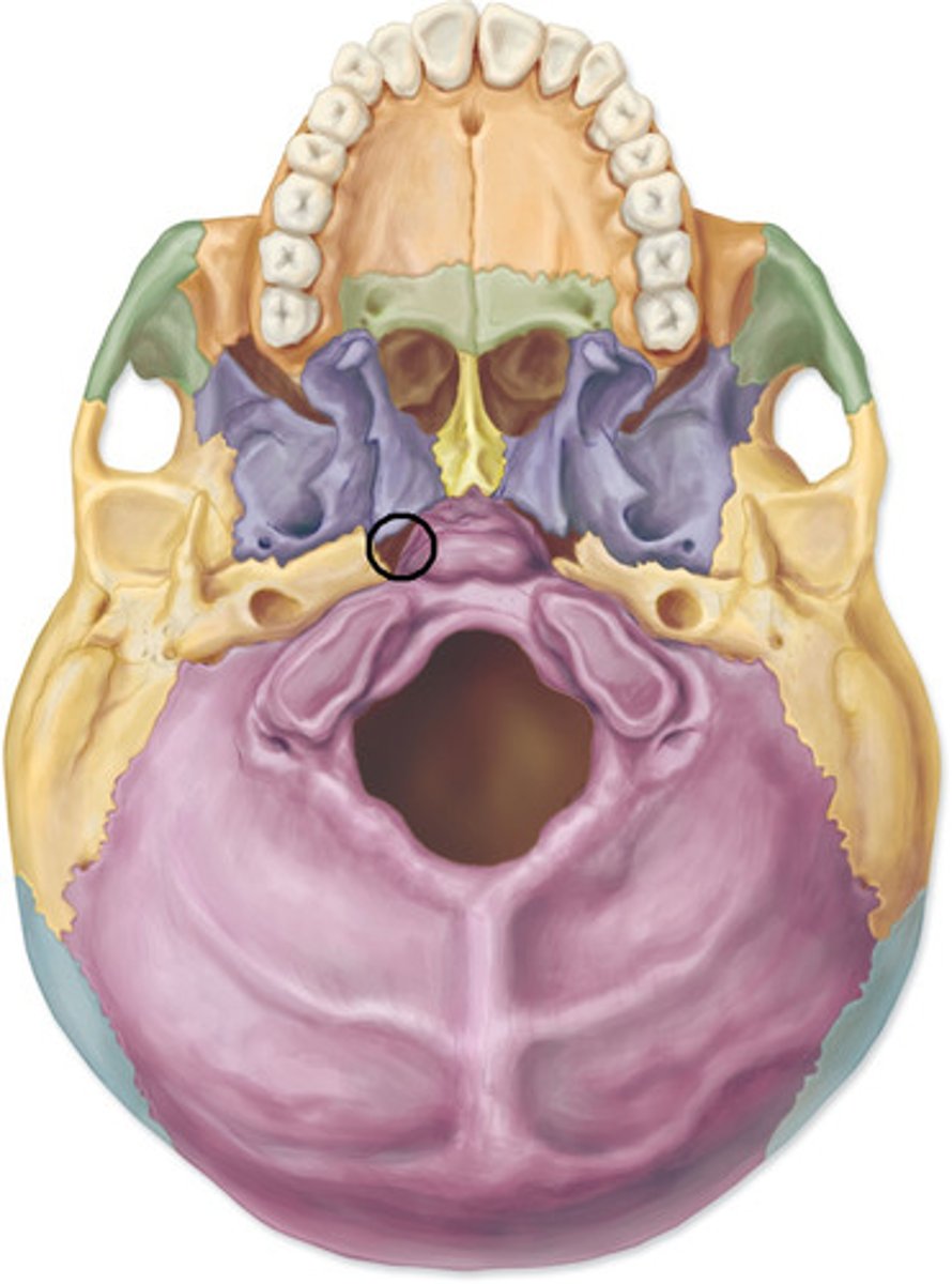 <p>ID hole</p>