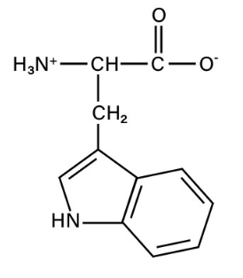 <p>non-polar aromatic</p>