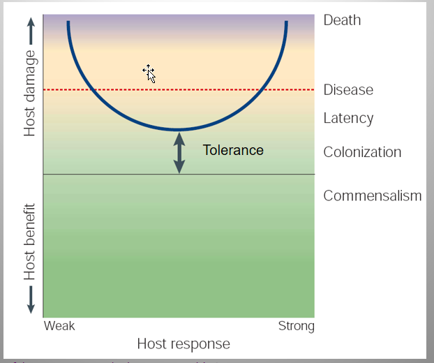 <p>Tenants:</p><ol><li><p>Microbial pathogenesis = outcome of interaction btw host/microorganism.</p></li><li><p>host-relevant outcome of interaction = amount of damage to the host.</p></li><li><p>Host damage = microbial factors + host immune response.</p></li></ol><p></p>