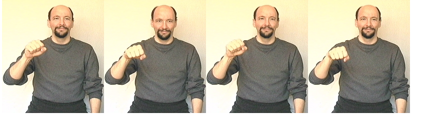 <p>make “s” with hand and nod hand and head with y/n eyebrows</p>
