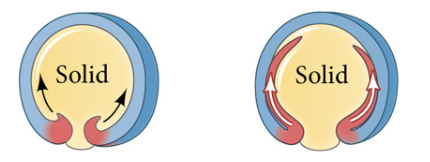 <p>Inward movement of an expanding outer layer so that it spreads over the internal surface of the remaining external cells </p>