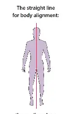 <p>divides body into right and left parts </p>