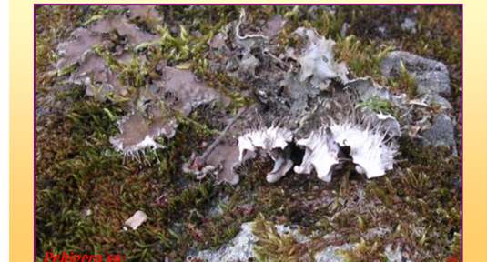 <p></p>