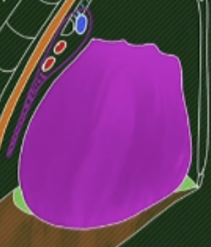 <p>en avant du hile +recouvre partie sup du diaphragme</p>