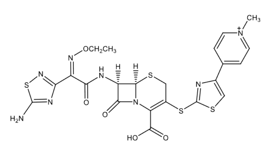 <p>name</p>