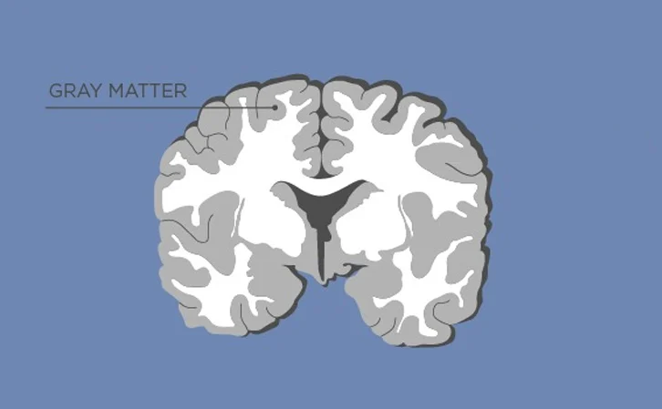<p>what is the darker portion</p>