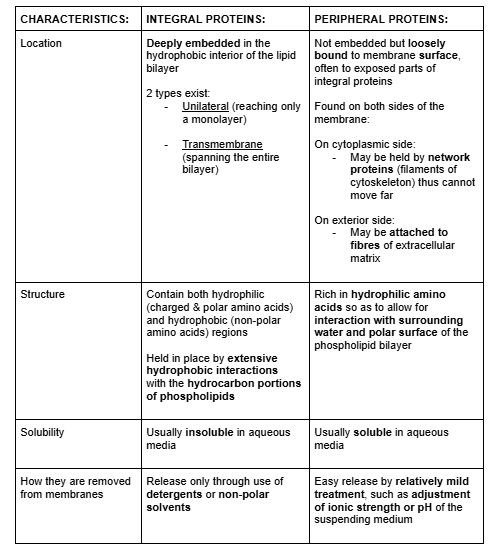 <p>Types of membrane proteins:</p><ol><li><p>Integral (intrinsic) proteins</p></li></ol><ol start="2"><li><p>Peripheral (extrinsic) proteins</p></li></ol><p></p><p>6 major types of function:</p><ol><li><p>Anchorage</p></li><li><p>Transport</p></li><li><p>Enzymatic activity</p></li><li><p>Signal transduction</p></li><li><p>Cell-to-cell recognition</p></li><li><p>Intercellular joining</p></li></ol><p></p>