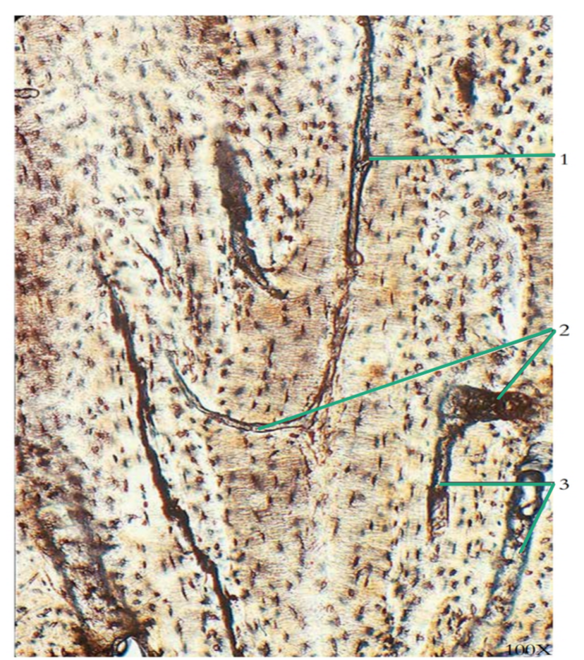 <p>1? </p>