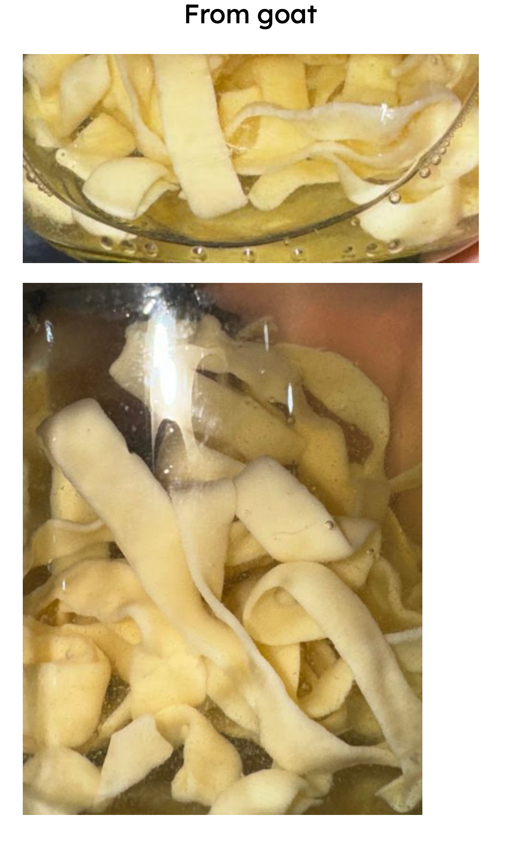 <p>Identification:</p><p>Common name:</p><p>Organ loc:</p><p>Intermediate Host:</p><p>Definitive Host:</p><p>Family:</p>